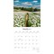 Brush Dance; Pathways | 2027 12 x 24 Inch (Hanging) Monthly Square Wall Calendar | Plastic-Free; Category:Wall Calendars; Image:4